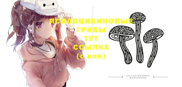 герыч Дмитриев