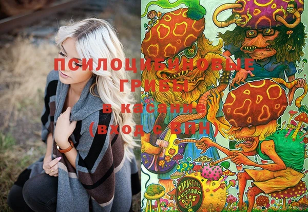 мескалин Дмитров