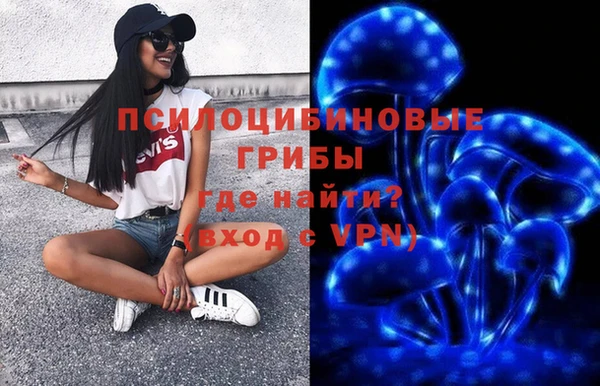 спайс Дмитровск