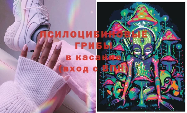 спайс Дмитровск