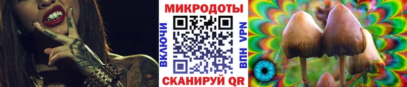 Купить закладки  Камызяк  Галлюциногенные грибы мухоморы 